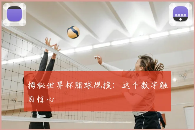 揭秘世界杯赌球规模：这个数字触目惊心