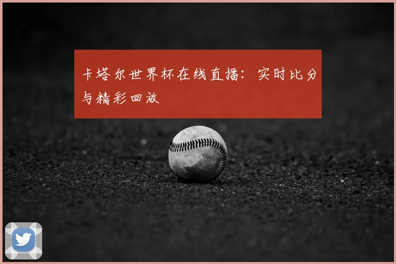 卡塔尔世界杯在线直播：实时比分与精彩回放