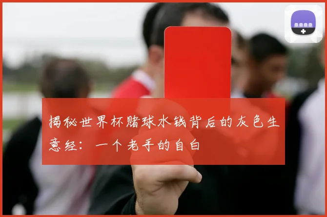 揭秘世界杯赌球水钱背后的灰色生意经：一个老手的自白